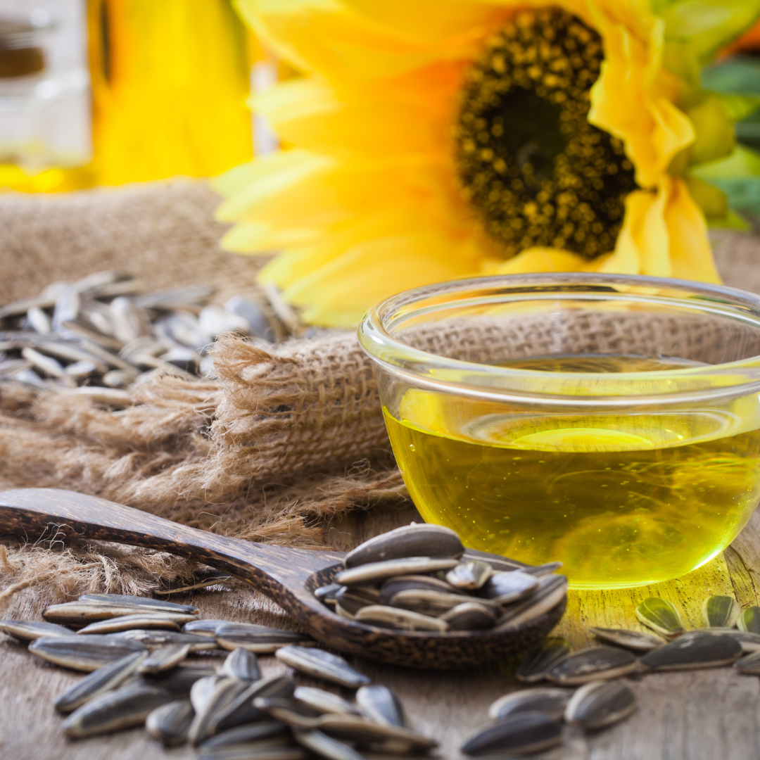 Sunflower seeds, oil, and sunflower in the background on a rustic surface